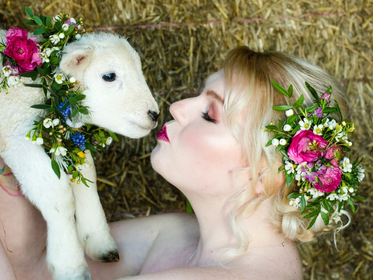 Big sheep wedding fair, Sheep, Bride, Kiss